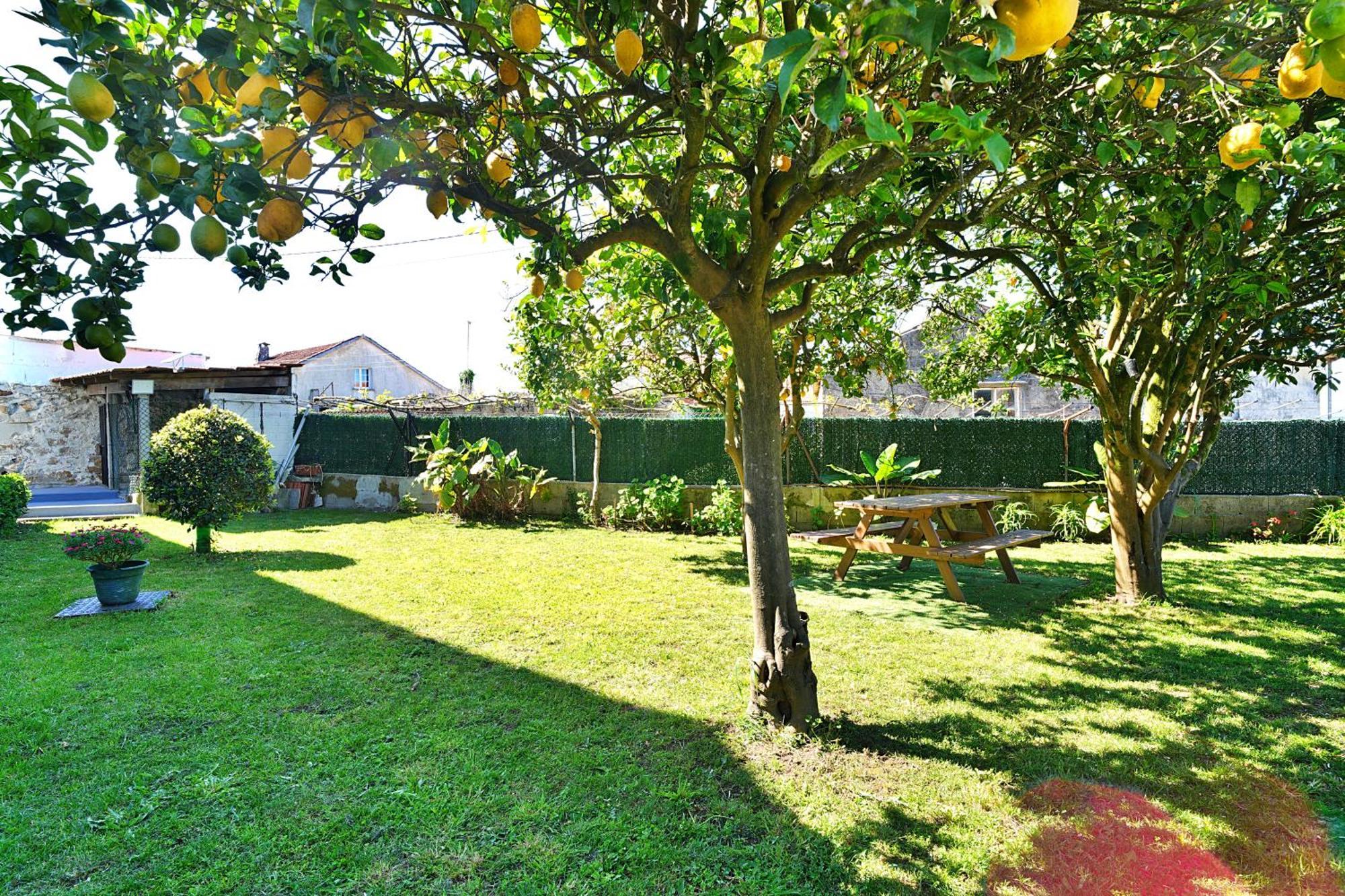 Casa Con Jardin En Vilanova De Arousa Pontevedra Eksteriør bilde